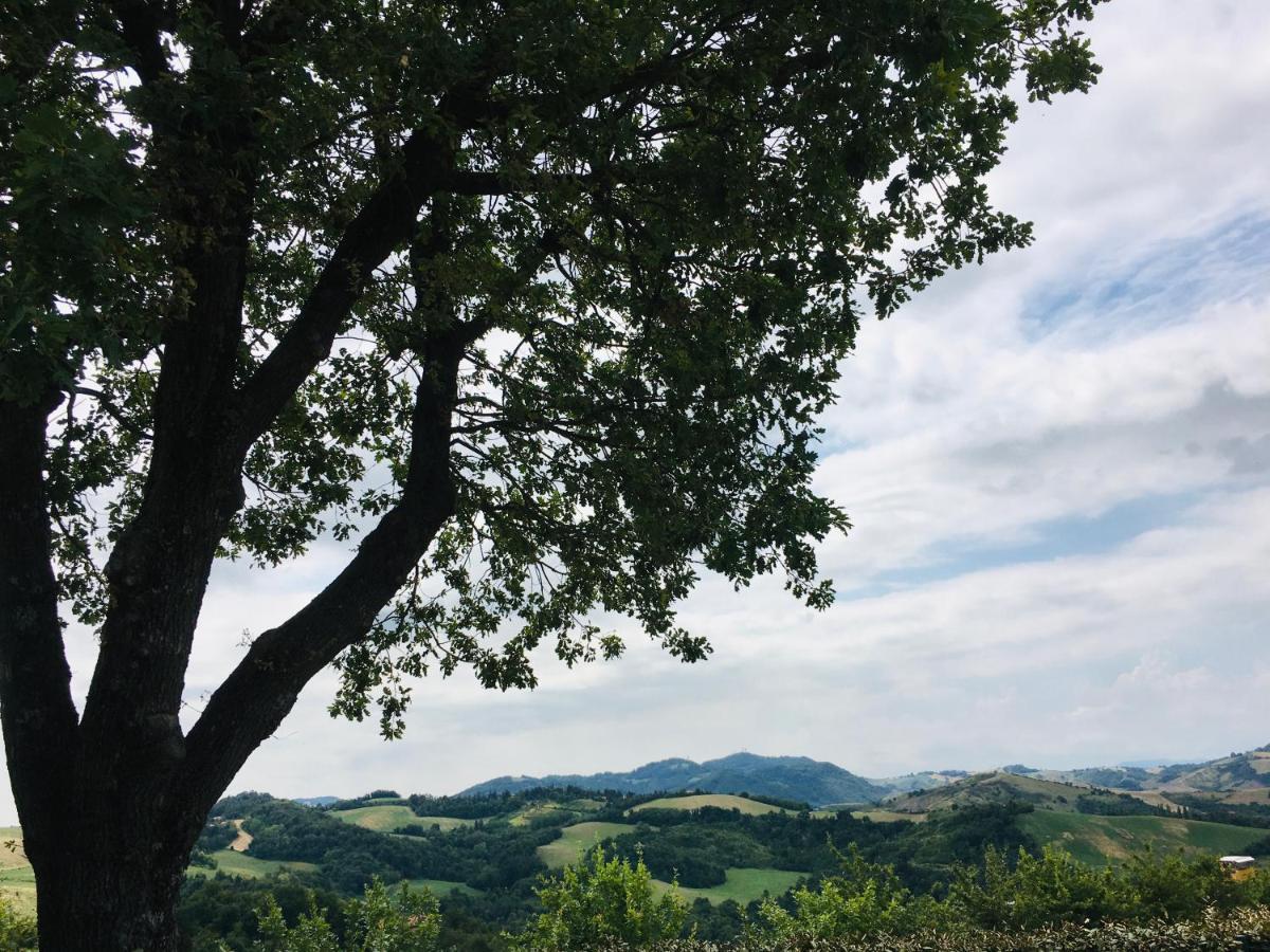 La Palazzina Di Ciagnano Villa Ozzano dell'Emilia Eksteriør bilde