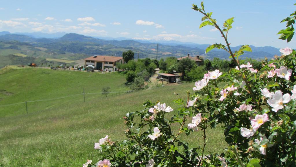 La Palazzina Di Ciagnano Villa Ozzano dell'Emilia Eksteriør bilde